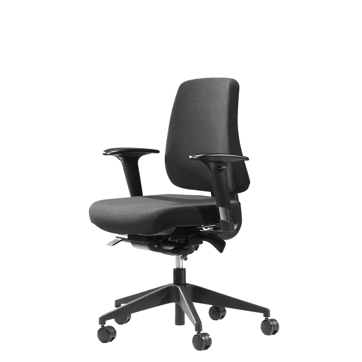 Canadian Ergo 01