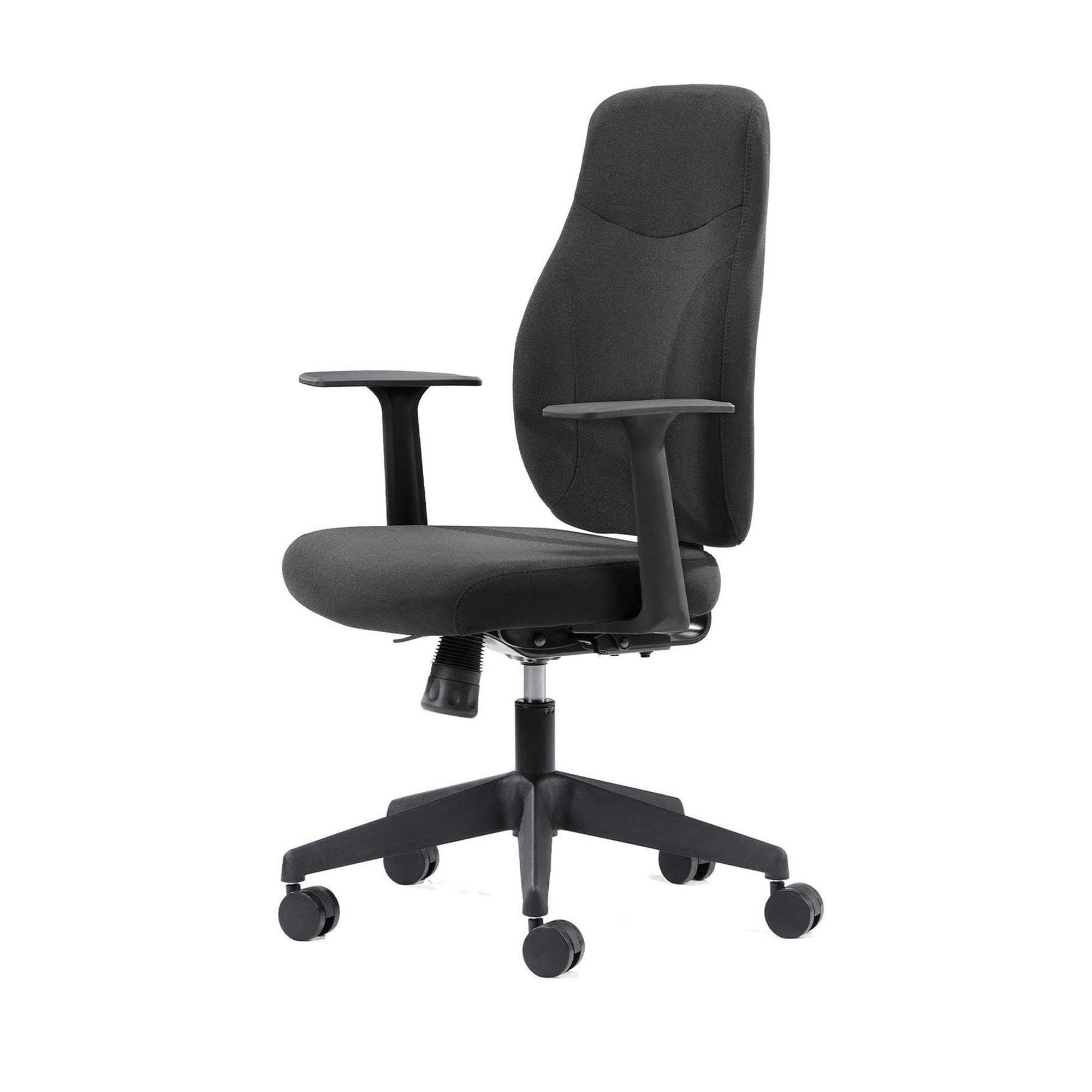 Canadian Ergo 02
