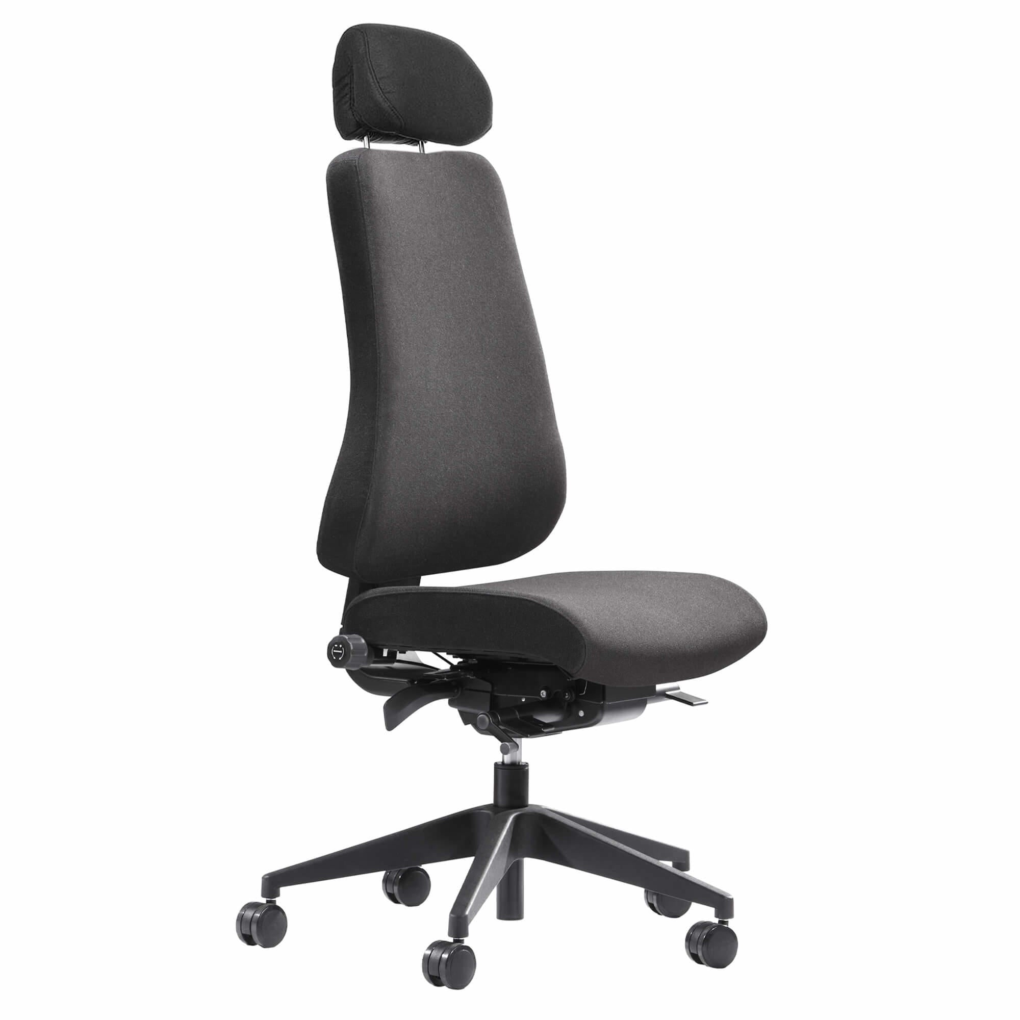 Canadian Ergo 04
