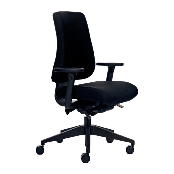 Canadian Ergo 02
